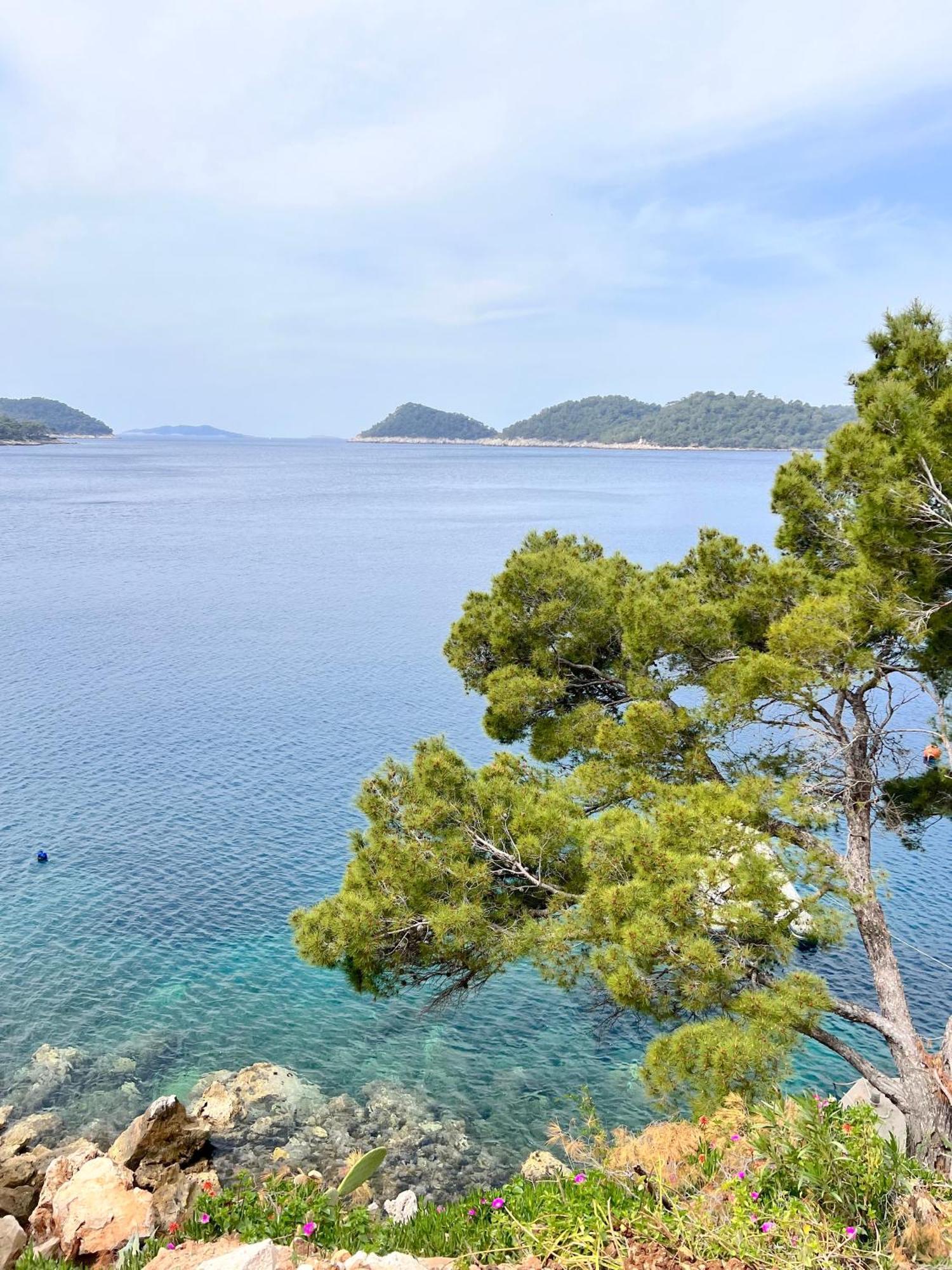 Terrace Studios With Panoramic Seaview 우블리 외부 사진